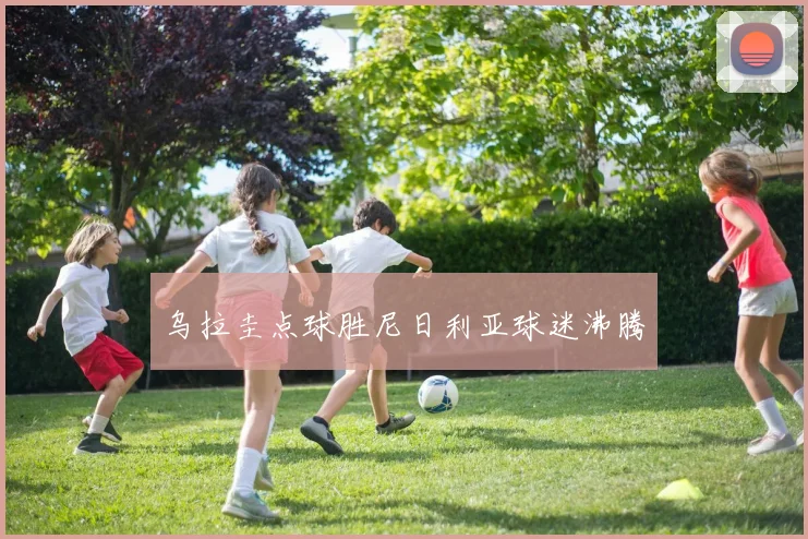 乌拉圭点球胜尼日利亚球迷沸腾