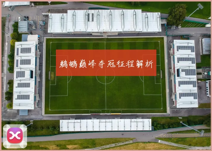 鹈鹕巅峰夺冠征程解析