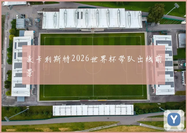 麦卡利斯特2026世界杯带队出线前景