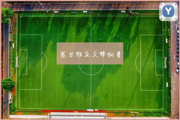 塞尔维亚交锋秘鲁
