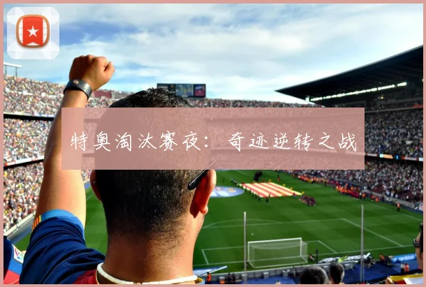 特奥淘汰赛夜：奇迹逆转之战