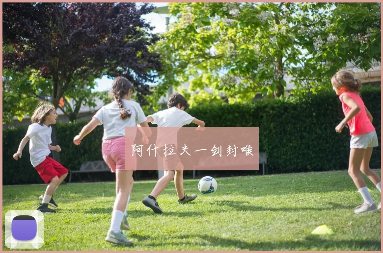 阿什拉夫一剑封喉