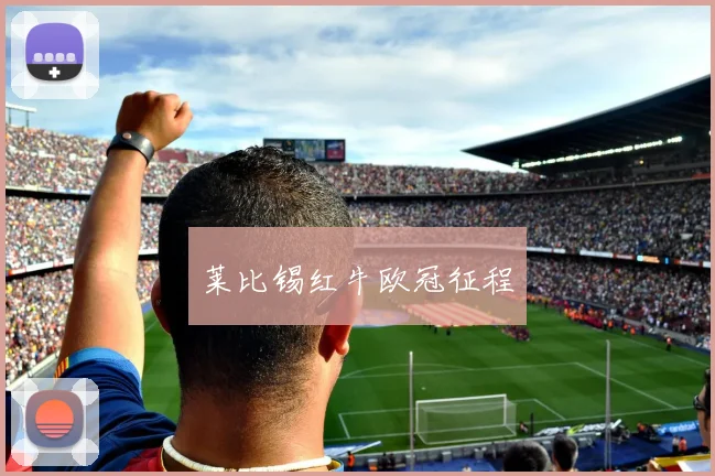 莱比锡红牛欧冠征程