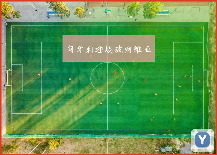 匈牙利迎战玻利维亚