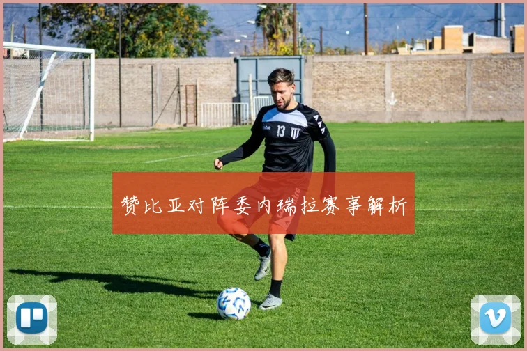 赞比亚对阵委内瑞拉赛事解析