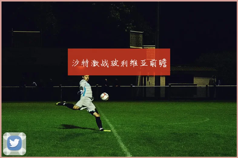 沙特激战玻利维亚前瞻