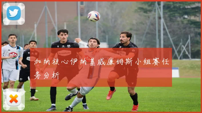 加纳核心伊纳基威廉姆斯小组赛任务分析