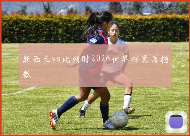 新西兰vs比利时2026世界杯黑马指数