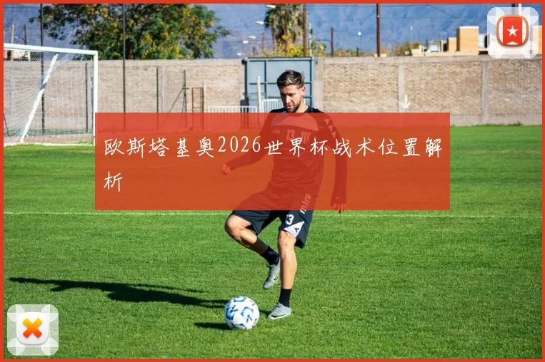 欧斯塔基奥2026世界杯战术位置解析