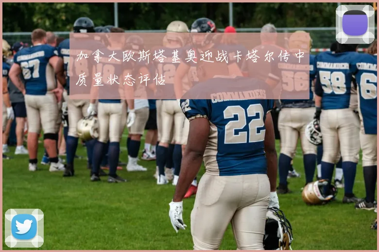 加拿大欧斯塔基奥迎战卡塔尔传中质量状态评估